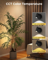 Zoomable Spot Lights Indoor, Rechargeable Picture Light with Remote, Dimmable CCT Spotlight for Wall Art, 6000mAh Uplights with Timer for Plant Artwork Painting Sofa Corner Black 2Pack