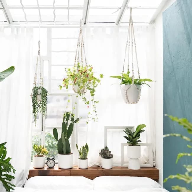 3 pcs Bohemian Plant Hanger for Indoor Plants with Braided Rope Beads and Lace Decoration, 35 Inch, White