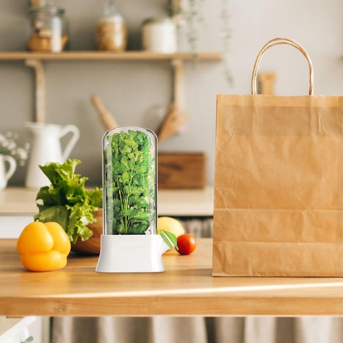 Herb Container - Herbs - Herb Jars - Fresh Keeper - Herb Vanilla Storage Container - BPA-Free - Keep Fresh - Coriander, Asparagus, Parsley and Mint - Free Herb Cutter - 27 Cm - Kitchen Tools - Reusable Fresh Herb Container