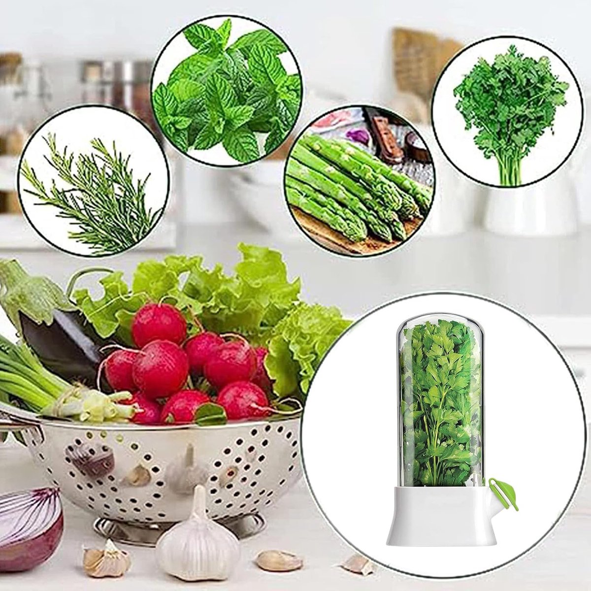 Herb Container - Herbs - Herb Jars - Fresh Keeper - Herb Vanilla Storage Container - BPA-Free - Keep Fresh - Coriander, Asparagus, Parsley and Mint - Free Herb Cutter - 27 Cm - Kitchen Tools - Reusable Fresh Herb Container