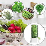 Herb Container - Herbs - Herb Jars - Fresh Keeper - Herb Vanilla Storage Container - BPA-Free - Keep Fresh - Coriander, Asparagus, Parsley and Mint - Free Herb Cutter - 27 Cm - Kitchen Tools - Reusable Fresh Herb Container