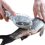 Fish Scraper - Professional Scale Remover - Fast and Efficient - Portable Scale Removal - Universal Fish Descaler - Fish Descaler - Fish Scraper - with Handy Collection Tray - for Kitchen / Restaurant - Green - Piece