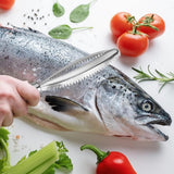 Fish Scraper - 2 Pieces - Fish Scaler Brush - Fish Scale Remover - Scale Scraper - Fish Descaler - Fish Scale Remover - Scraping Removal Tool - Kitchen Utensils - For Cookware, Seafood, Poultry - Silver - Stainless Steel