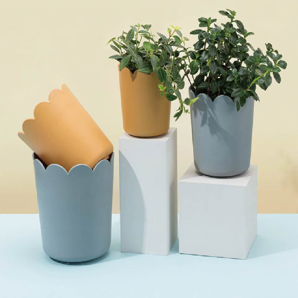Jwdx Flower Pots Clearance, Garden Supplies Promotion! Plastic Plant Pots for Plants With Saucers Indoor Set of 1 Plastic Planters Modern Flower Pot With Hole for All House Plants Herbs Flowers Or4 Z5-OR1