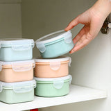 JWDX Storage Containers Clearance! Simple Refrigerator Preservation Box Small Lunch Box Kitchen Lunch Box Plastic Storage Box Sealed Box for Lunch Kitchen Arrangement, Include 1* Bento Box B