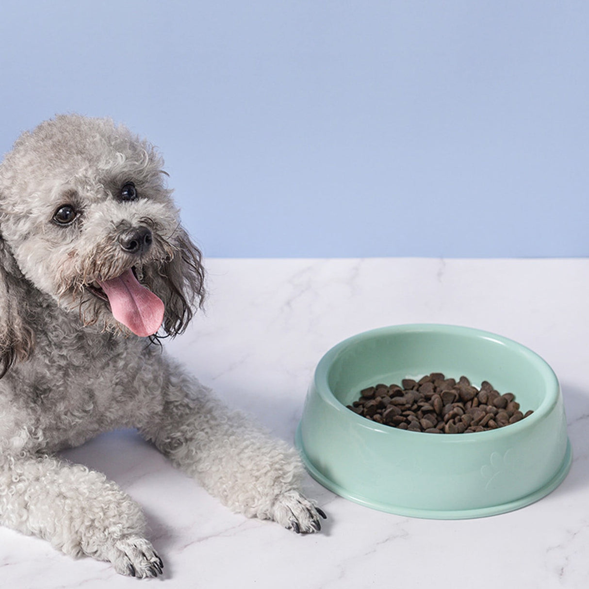 Plastic Dog Bowl,Non Slip Candy Color Plastic Pet Food Bowl,Shallow Cat Food Dish ,Reusable Pet Food And Water Bowl,Puppy Cat Animal Feeding Bowls ,Pet Food Container Storage Easy To Clean,Pink 5.19" x 1.97" x 5.12" Green