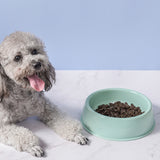 Plastic Dog Bowl,Non Slip Candy Color Plastic Pet Food Bowl,Shallow Cat Food Dish ,Reusable Pet Food And Water Bowl,Puppy Cat Animal Feeding Bowls ,Pet Food Container Storage Easy To Clean,Pink 5.19" x 1.97" x 5.12" Green