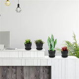 Pots for Plants, 8 Pack 4.8 inch Plastic Planters with Multiple Drainage Holes and Trays - Plant Pots for All Home Garden Flowers Succulents (White) 4.8inch-Black1