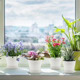 Pots for Plants, 8 Pack 4.8 inch Plastic Planters with Multiple Drainage Holes and Trays - Plant Pots for All Home Garden Flowers Succulents (White) 4inch-White