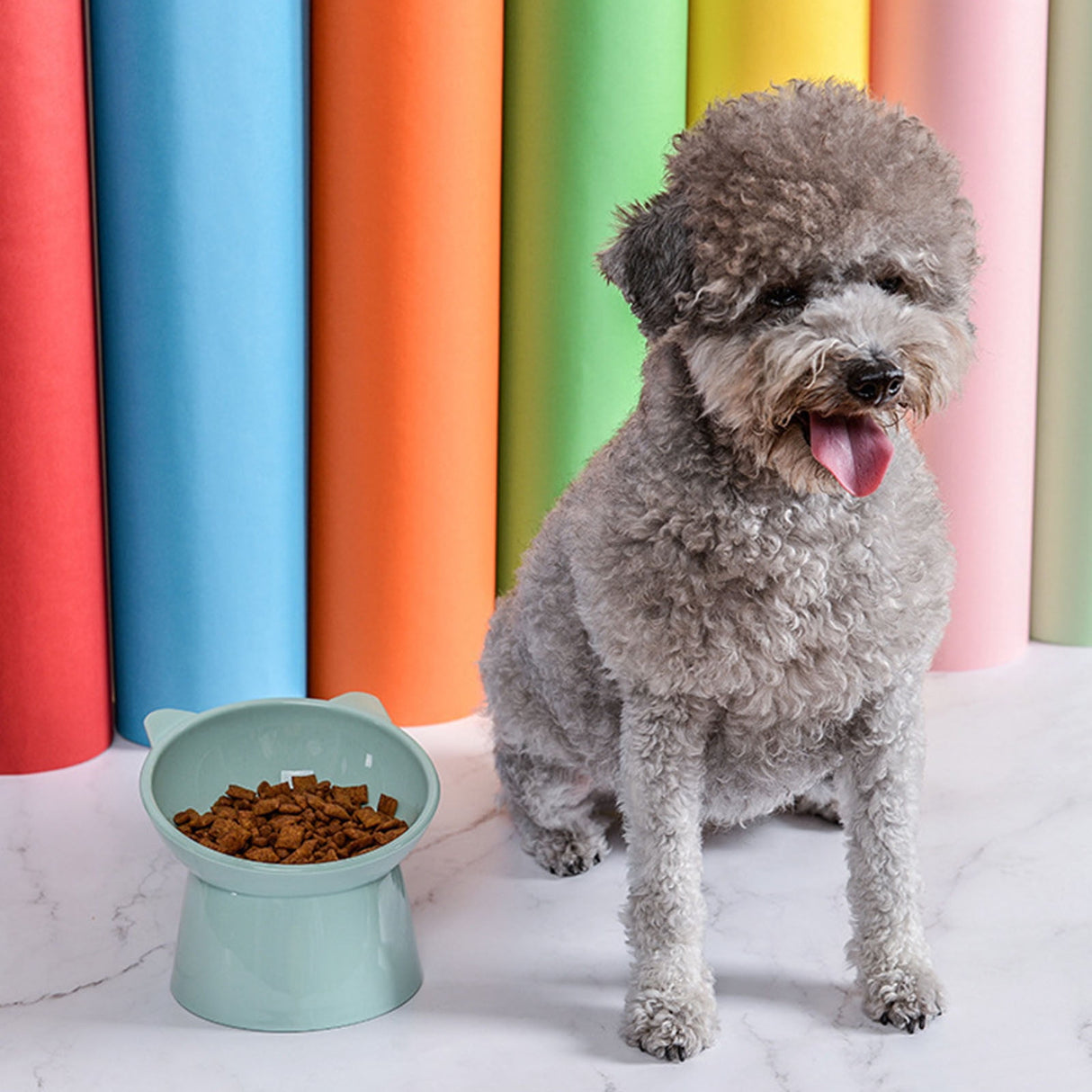 Darzheoy Raised Cat Food Bowl 15 Degrees Elevated Cat Bowls Anti Vomiting Tilted Raised Cat Food Bowl Plastic Slanted Stand Bowls for Pet Feeder Green