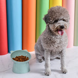 Darzheoy Raised Cat Food Bowl 15 Degrees Elevated Cat Bowls Anti Vomiting Tilted Raised Cat Food Bowl Plastic Slanted Stand Bowls for Pet Feeder Green