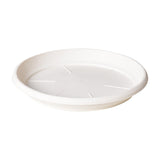 Darzheoy 6 Pack Plant Saucer Tray 3.6 inch, Heavy Duty Plastic Pot Plant Drip Trays Saucers for Indoors Outdoor, Plant Water Tray for Planters 5.9" White