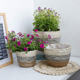 Darzheoy Woven Seagrass Plant Basket, Flower Pots Home Boho Decor, Storage Picnic Grocery Straw Bag for Plant Artificial Tree - 5.5"×8.7"×6.3 C