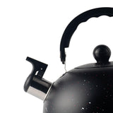 Whistling Kettle 2.5L Tea Pot Fast Boiling with Handle,Stainless Steel, Stovetop Kettle for Camping Dorm Outdoor Kitchen , Black