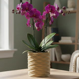 3D Printed Modern Wave Flower Pot - Water-Storing Rotating Base, Light Blue, Single Piece