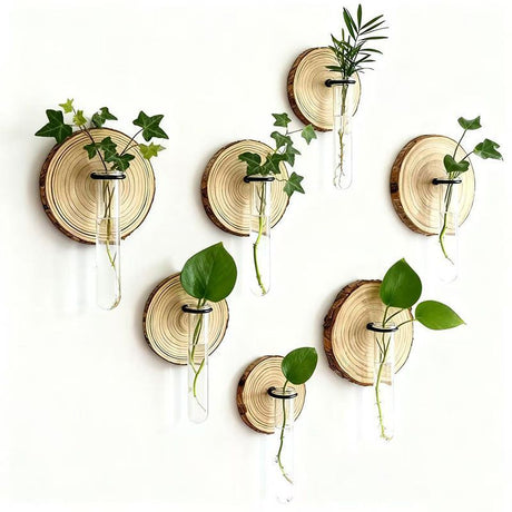 Creative Test Tube Hydroponic Vase-Set of 6