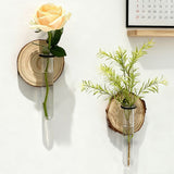 Creative Test Tube Hydroponic Vase-Set of 6