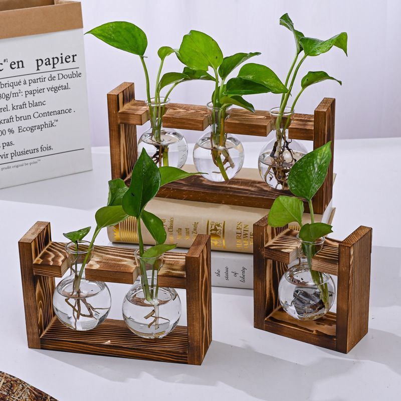 HydroponicWoodenFramewithSnap-On-SphericalDoubleBottle