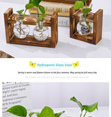 HydroponicWoodenFramewithSnap-On-SphericalDoubleBottle