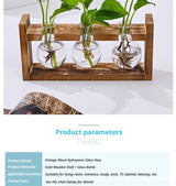 HydroponicWoodenFramewithSnap-On-SphericalDoubleBottle
