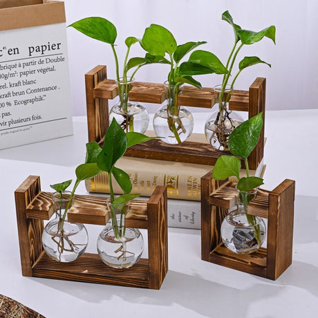HydroponicWoodenFramewithSnap-On-SphericalSingleBottle