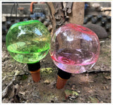 3PCS Plant Watering Globes, 500ml Self Watering Planter Insert Transparent