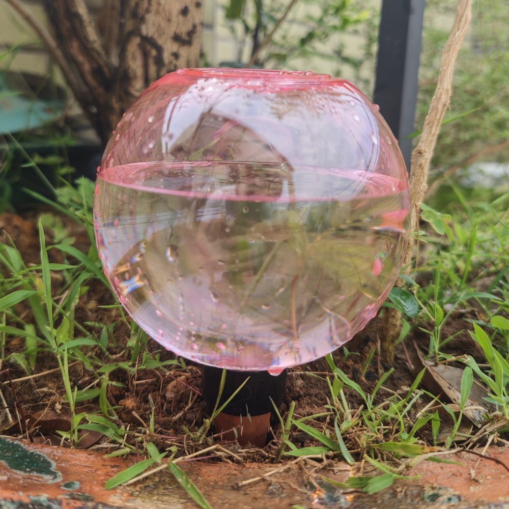 3PCS Plant Watering Globes, 500ml Self Watering Planter Insert Transparent