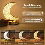 Rechargeable acrylic crystal desk lamp with 3 color temperatures touch control, USB charging for portability, and stepless brightness adjustment. Diamond-cut design serves as both an ambient light and an art piece./Peacock feather