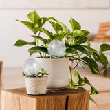 3Pcs Plant Watering Globes, 500ml Self Watering Spikes, Clear Automatic Plant Waterer for Indoor Potted Plants