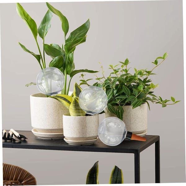 3Pcs Plant Watering Globes, 500ml Self Watering Spikes, Clear Automatic Plant Waterer for Indoor Potted Plants