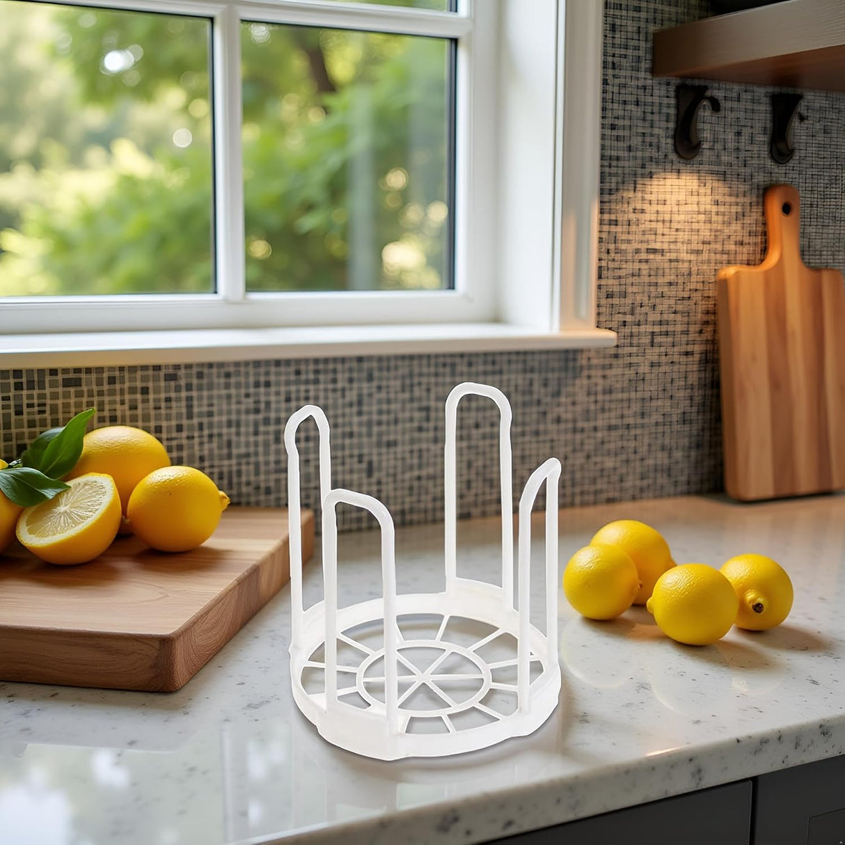 White Plastic Dish Drainer Rack for Kitchen Storage and Drying Tableware