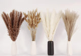 Artificial Pampas Grass Decor, 100 PCS Pampas Grass Contains Bunny Tails Dried Flowers, Reed Grass Bouquet for Wedding Boho Flowers Home Table Decor, Rustic Farmhouse Party (White and Brown)