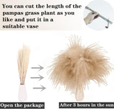 Artificial Pampas Grass Decor, 100 PCS Pampas Grass Contains Bunny Tails Dried Flowers, Reed Grass Bouquet for Wedding Boho Flowers Home Table Decor, Rustic Farmhouse Party (White and Brown)