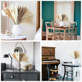 Artificial Pampas Grass Decor, 100 PCS Pampas Grass Contains Bunny Tails Dried Flowers, Reed Grass Bouquet for Wedding Boho Flowers Home Table Decor, Rustic Farmhouse Party (White and Brown)