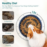 Slow Feeder Dog Bowl, 1.5 Cups Ceramic Slow Feeder for Medium Breed, Puzzle Maze Dog Food Bowl for Fast Eater, Blue