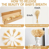 50Pcs Mini Dried Baby's Breath Flowers, 6'' Natural Ivory White Flowers for Resin Art Craft DIY, 3000+ Pressed Gypsophila Bouquet Present for Valentine's Day, Wedding Wreath, Card Making, Home Decor