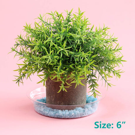 20 Pack 6 Inch Plant Saucers Clear Plastic Plant Saucer Drip Trays Small Plant Plate Dish for Indoor Flower Pots and Planters, Bulk