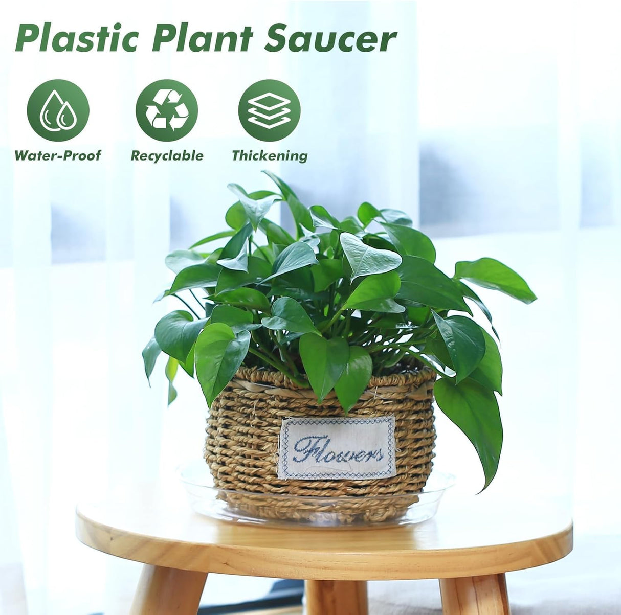 20 Pack 6 Inch Plant Saucers Clear Plastic Plant Saucer Drip Trays Small Plant Plate Dish for Indoor Flower Pots and Planters, Bulk