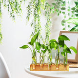 Plant Propagation Station, Plant Terrarium with Wooden Stand, Plants Pots for Hydroponics, Small Birthday Gardening Gifts for Women Mom Plants Lovers Unique - 5 Glass Test Tubes Vases