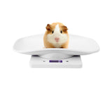 10kg/1g Digital Small Pet Weight Scale for Cats Dogs Measure Tool Electronic Kitchen Scale