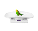 10kg/1g Digital Small Pet Weight Scale for Cats Dogs Measure Tool Electronic Kitchen Scale