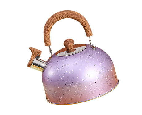 Water Kettle, Stainless Steel Whistle Kettle, Large Capacity Flat Bottom for Gas Induction, 2L, Purple
