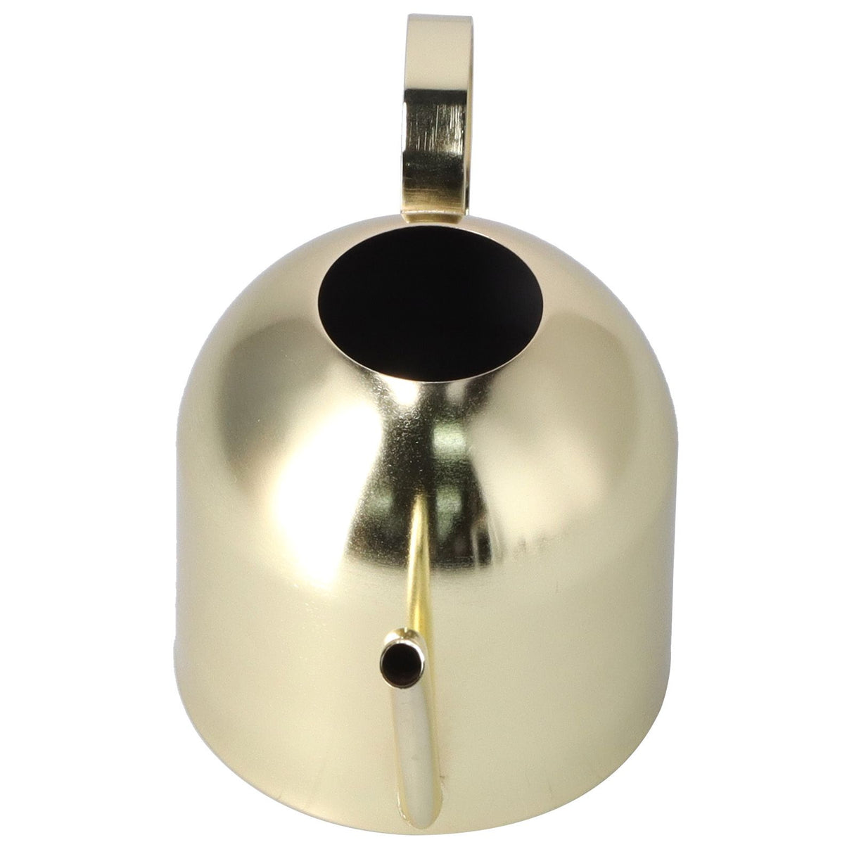 1000ML Watering Can Indoor Vintage Stainless Steel Succulent Flowers Plants Watering Kettle Pot Gold
