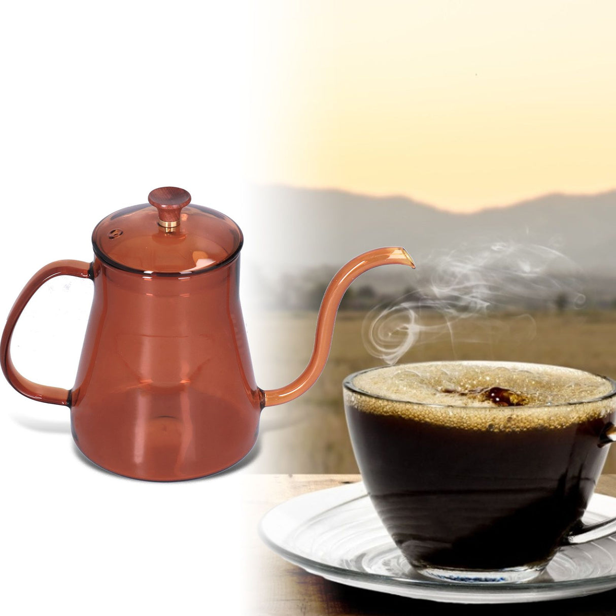 Coffee Kettle Glass Coffee Pot 600ML Coffee Drip Kettle Long Nozzle Kettle for Home KitchenCoffee