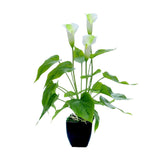 Artificial Flower Living Room Decorative Flowers Plastic Flowers Simulation Potted Plant Ornaments Fake Flower
