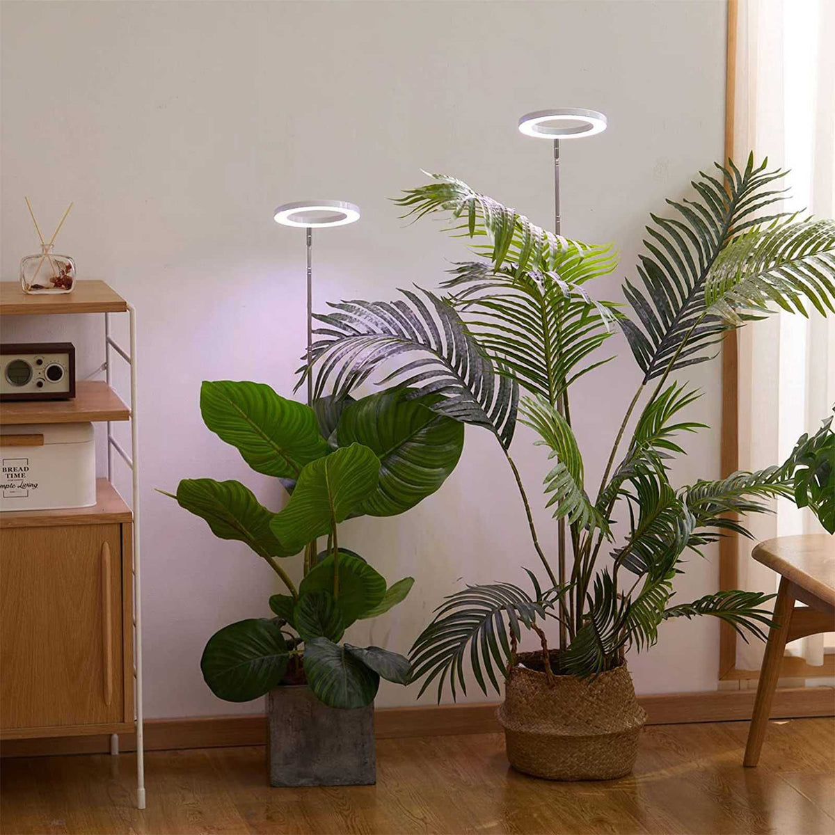 Plant Grow Light Floor Lamp Full Spectrum Sunlight Large Potted Plant Fill Light 3/9/12 Hours Timing 10 Levels Dimming