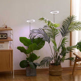 Plant Grow Light Floor Lamp Full Spectrum Sunlight Large Potted Plant Fill Light 3/9/12 Hours Timing 10 Levels Dimming