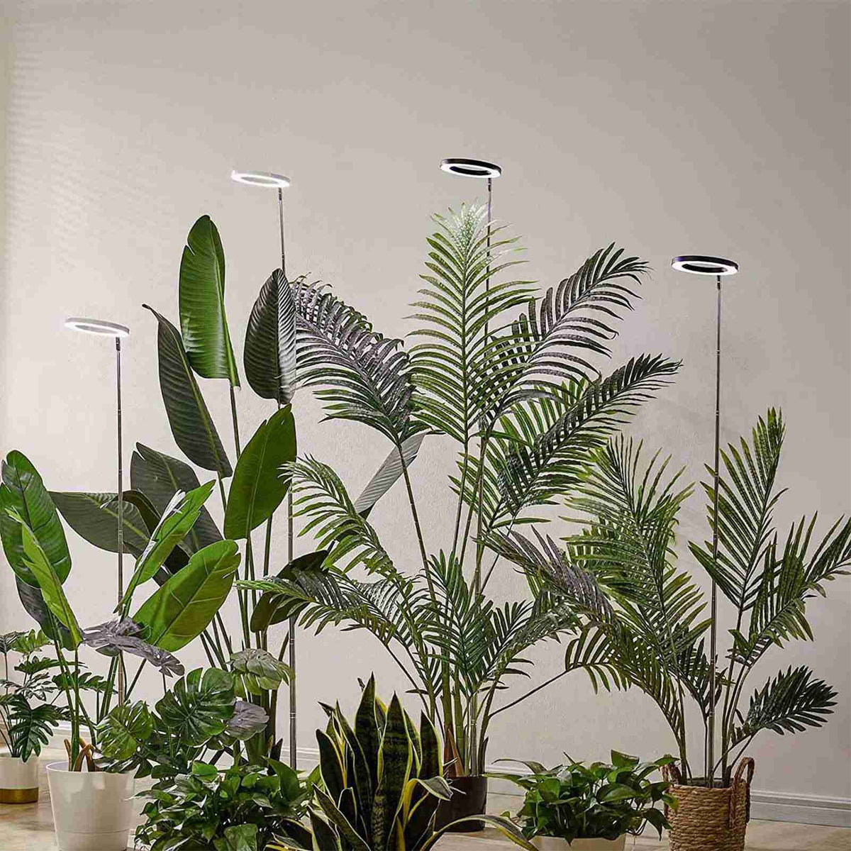 Plant Grow Light Floor Lamp Full Spectrum Sunlight Large Potted Plant Fill Light 3/9/12 Hours Timing 10 Levels Dimming