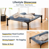 Elevated Pet Cot with Bolster Cushion for Cats and Small Dogs, Breathable Mesh Bed for Indoor Living Room and Bedroom Comfort (Light Orange)