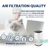 Mini  Powered Air Purifier. Ultra Portable (5.2in tall, 6.7 ounces), Ultra Quiet. for Travel, In-Car and Desktop (White)